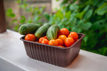 Freshly picked cucumbers and cherry tomatoes are nestled together in a brown plastic container, showcasing the vibrant colors and textures of a healthy harvest