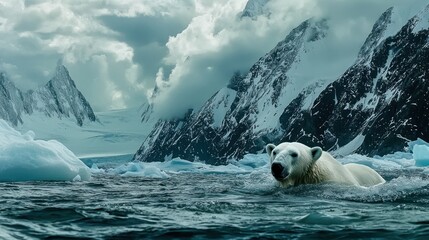 Naklejka premium Polar bear swimming in icy arctic waters near snow-capped mountains.