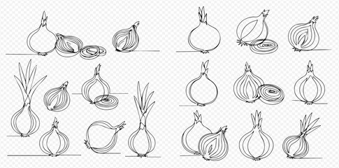 Stylized continuous line art illustrations showcasing different forms of onions, including whole, halved, and sprouting bulbs.
