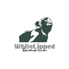 White Lipped tamarin monkey design vector illustration, funny smart pet with an emotional face