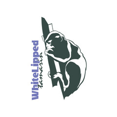 White Lipped tamarin monkey design vector illustration, funny smart pet with an emotional face