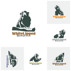 Set of White Lipped tamarin monkey design vector illustration, funny smart pet with an emotional face