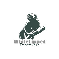 White Lipped tamarin monkey design vector illustration, funny smart pet with an emotional face