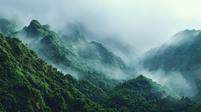 3D realistic misty green mountains with dense lush forest landscape, atmospheric morning fog, vibrant natural scenery, high detail, wide panoramic view, nature background