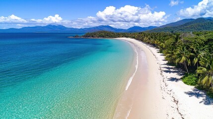 Aerial view of a pristine tropical beach with turquoise water, white sand, and lush palm trees.