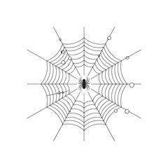 Fototapeta premium Detailed illustration of a spider and web isolated on white background