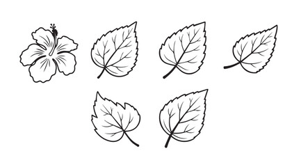 Delicate outline of a hibiscus flower and five detailed leaves silhouette