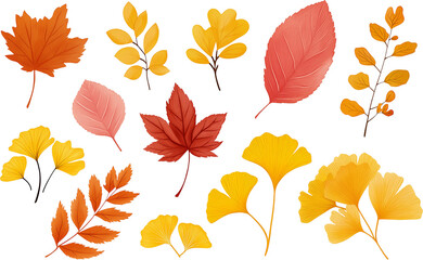 Fototapeta premium autumn leaves seamless background. Seasonal Leaf Illustration Elements Collection PNG isolated on transparent and white background.