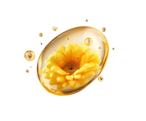 Yellow flower in a transparent golden capsule with bubbles