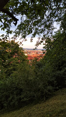 Scenic view of urban landscape framed by lush greenery and trees with copy space for design in Graz, Austria