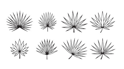 Collection of delicate palm leaf silhouettes in a stylized botanical illustration
