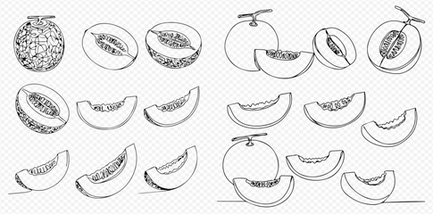 Detailed hand-drawn and outline illustrations of whole and sliced cantaloupe melons.