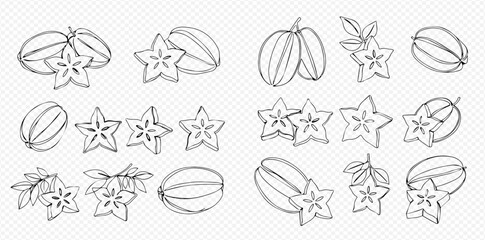 Hand-drawn sketch illustrations of whole and sliced star fruit, also known as carambola, with some depicting leaves.