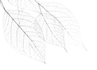 Skeleton dry leaves in dotted halftone pattern vector illustration.