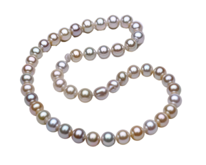 Elegant pearl necklace, a timeless classic treasure, perfect for jewelry, fashion, and beauty campaigns with a touch of luxury