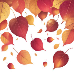 Obraz premium autumn leaves background