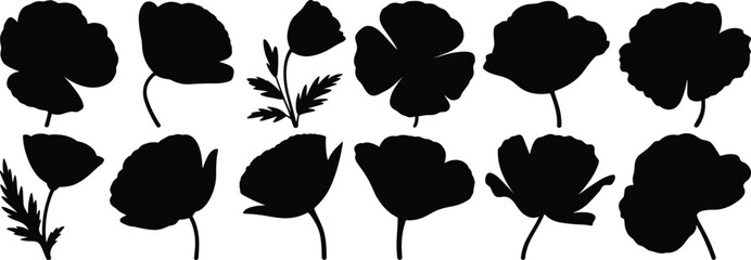 Poppy flower silhouette illustrations, botanical plant icons, black and white clipart, floral shapes, nature bundle set, vector pack