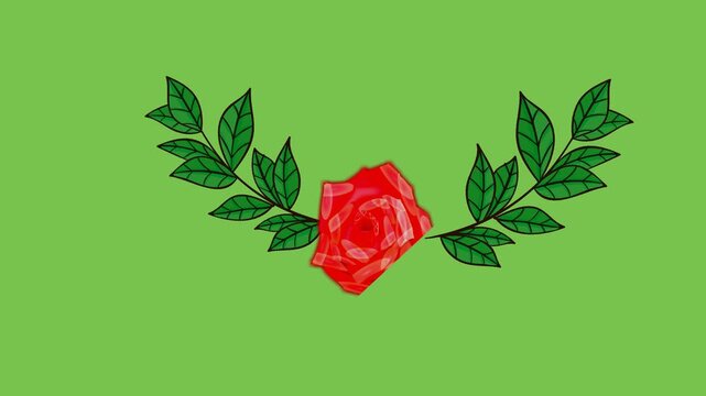 draw unique red rose flower decorate with colourful butterfly and green leaf on green screen background
