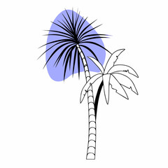 Obraz premium Minimalist palm trees with abstract blue shape