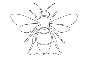 Minimalist bee single line art illustration isolated modern outline drawing design