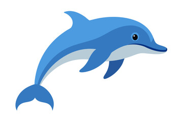 dolphin isolated on white background