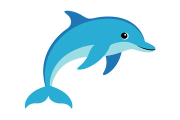 dolphin isolated on white
