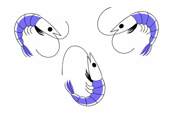 vector illustration of a fish