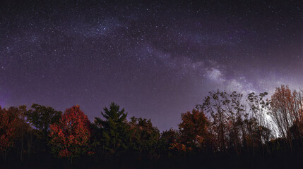 Fototapeta premium Starry Autumn Night Sky