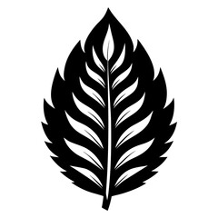 vector set of feathers