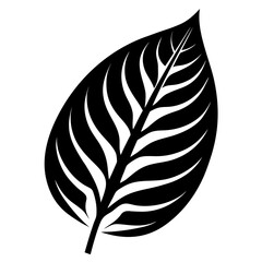 Obraz premium vector black silhouette of a leaf