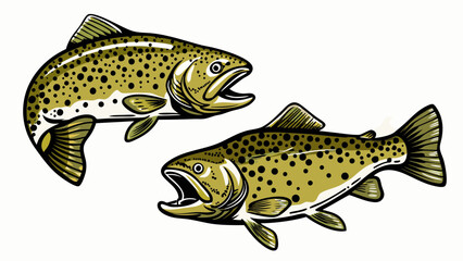 Two brown trout fish swimming together with open mouths