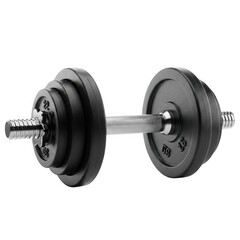 Fototapeta premium Adjustable dumbbell set with weight plates for strength training and home gym workouts transparent background