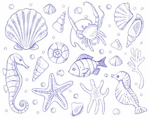 Hand drawn collection of marine life and shells