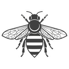 Detailed illustration of a bee, perfect for design and print.