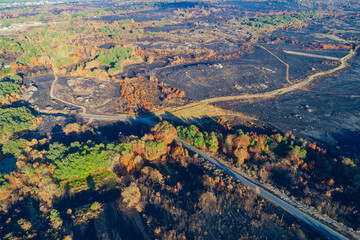 An aerial view of the vast devastation after a forest fire, Environmental Disaster