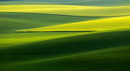 Rolling Green Hills Under Sunlight.