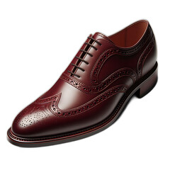 brown leather shoes