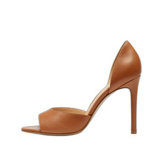 fashionable women shoe