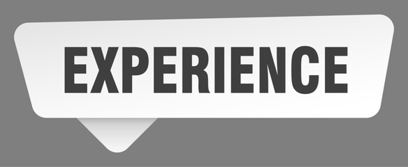 experience sign. experience white sticker isolated on gray background