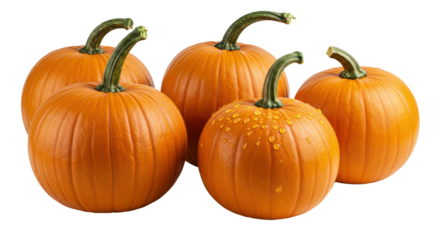 Five ripe orange pumpkins with classic gourd shapes, vibrant skin, green/yellowish stems, and water droplets, isolated on a transparent background with copy space, soft studio lighting. Harvest season