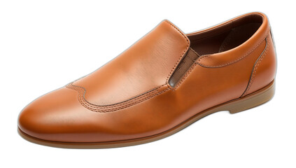 brown leather shoes