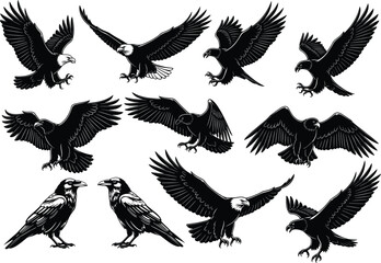 Detailed eagle and raven bird silhouettes in various flying and perched poses, majestic wildlife, vector art, black and white nature illustrations.