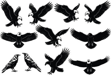 Eagle and raven bird silhouettes flying, perched, aggressive poses, majestic wildlife, detailed feathers, nature, hunting birds, black and white vector art