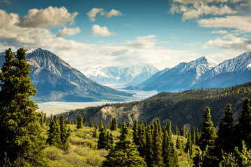 Scenic Mountain Landscape with Pine Forest and Snow-Capped Peaks