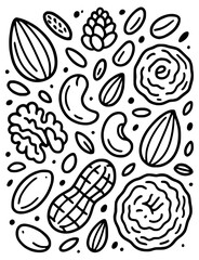 Vector illustrations of different types of nuts