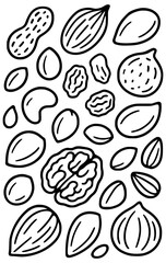 Different types of nuts for healthy eating and cooking