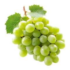 Fresh Green Table Grapes Bunch Isolated on White Background