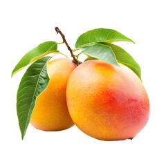 Fresh Mango with Leaves Isolated on White Background