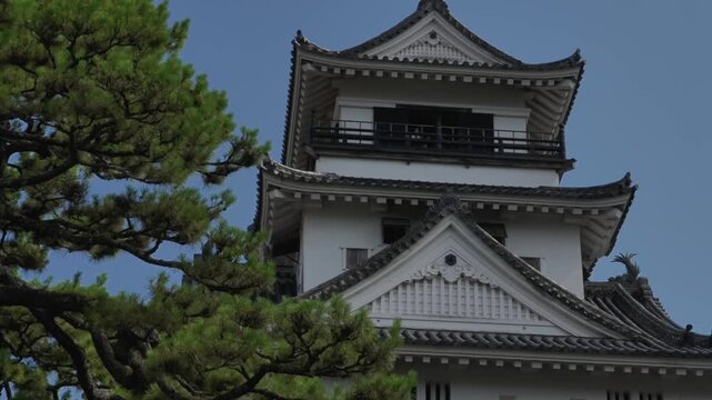 Kochi Castle's tenshu, one of Japan's Top 100 Castles and 12 remaining original keeps, with pines contrasting against the white-walled, gray-tiled pavilion on a stone foundation.