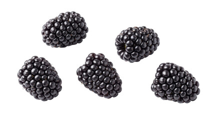 Isolated blackberries